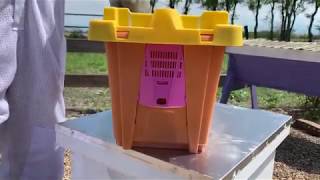 Texas Bee Supply - Transferring Your Nuc into Your Hive Box