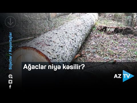 Video: Yol kənarları kimə məxsusdur?