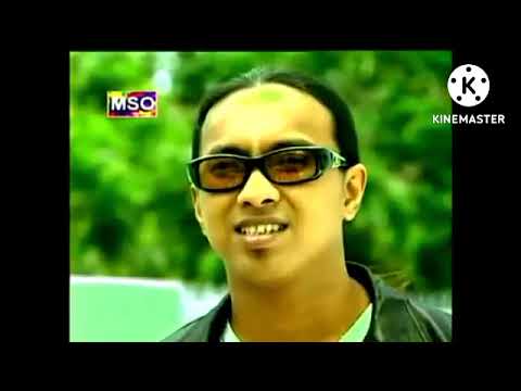 STINGS - Berbungalah Bunga Cinta