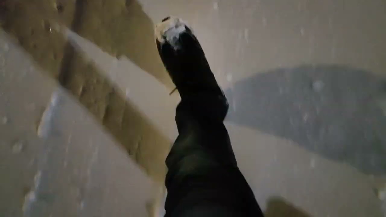 WHITE CARPET |HALIFAX |CANADA