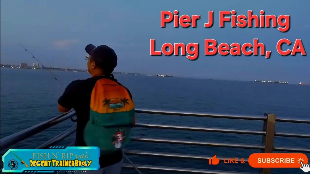 LIVE Fish N RIP - The Warmup Night Fishing