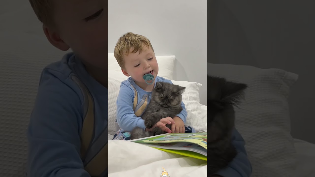 Cats are always patient with children🤣🥰
