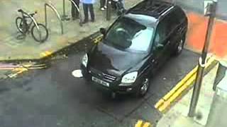World's Dumbest - Bollards