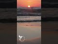 Ocean Moonlight Serenity 🌙 Soft Piano Relaxation for Deep Sleep