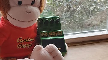 Review & Demo: Digitech Bad Monkey Overdrive!! Curious George in a pedal... @jhspedals