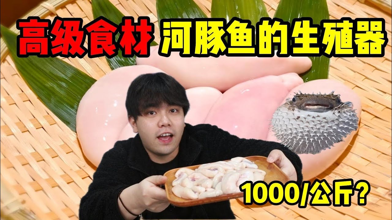 日本顶级美食-河豚白子，只有公河豚才有，第一口太炸裂了！