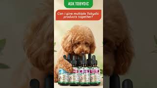Yes — most Tobydic drops work great together. 🌿 #tobydic #doghealth #cat