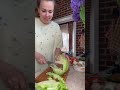 ПЕТРОВЧАНКА ЛЕРА petrovchanka_lera #garden #жизньзагородом #огород #shorts