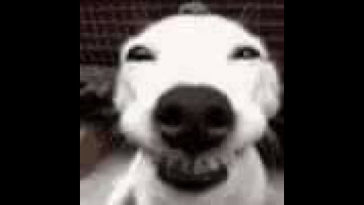 DayZ last dance | SkyFall#5 Casual