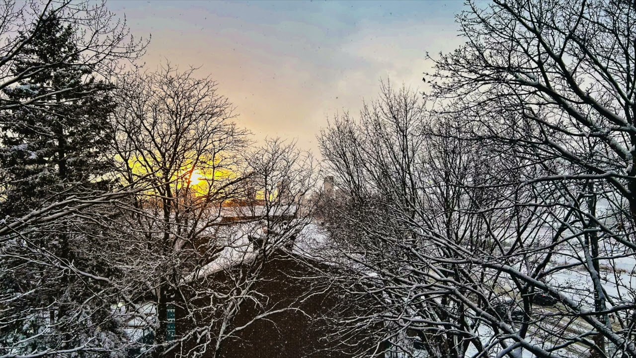 Wychwood - O Come Emmanuel (Acoustic version)