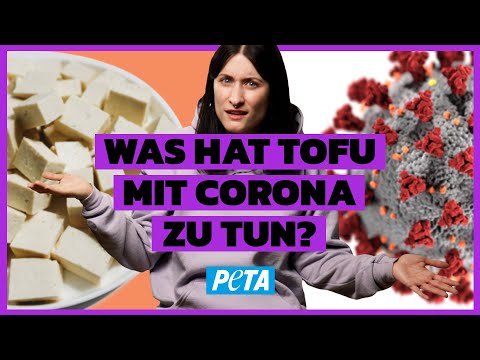 Video: Ebola - ist Ihr Hund gefährdet?