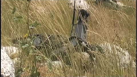 Chaos™ Persistent Stare