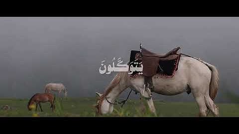 تلاوة عطرة(إنما المؤمنون الذين إذا ذكر الله وجلت قلوبهم )