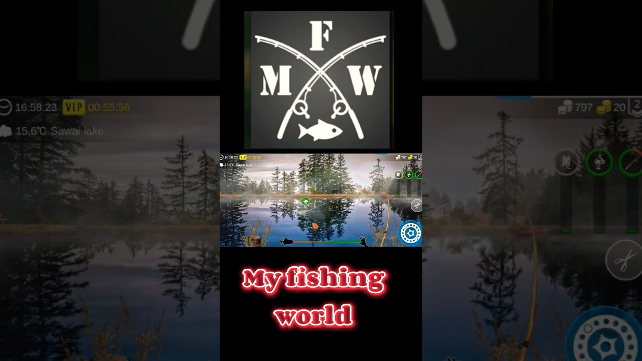 My fishing world