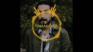 Timsah Çeli̇ladamlarzombi Mahali Muzikleri