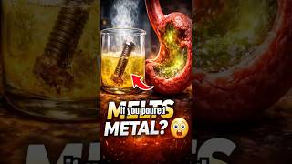 Celebrity If Acid Melts Metal… Why Doesn’t It Melt You? 😨 Wealth