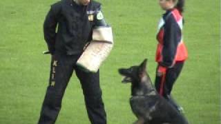 BSP 2008 Schutzdienst