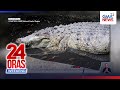 Bukarot O Philippine Freshwater Crocodile Nasagip Sa Valenzuela 24 Oras Weekend 