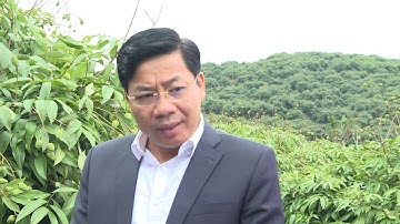 Bắc giang chuẩn bị cho mùa vải thiều trong bối cảnh COVID-19