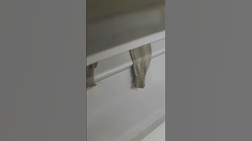 SHIMA SEIKI WholeGarment