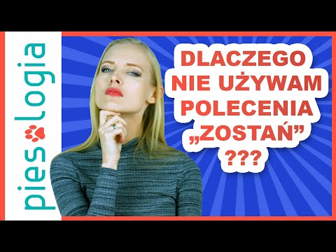 Wideo: Sekretna sztuczka do nauczania psa „Pozostań”