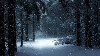 " Silent Night " Voice : Vilena Krasidou Orhestration ,programing :Tasos Papamichael (2010 _ 2021 )