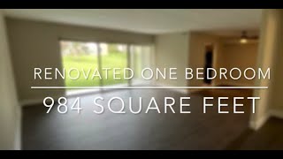 RENOVATED ONE BEDROOM ONE BATHROOM (1AR) || ASHLEY APARTMENTS