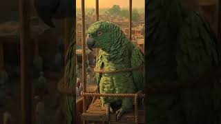 #cotin vido #ksgclassyfood cjqfh#dgispr