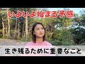 11月から揺れるかも！？今、何が重要か！降りてきたメッセージをシェアします｜日常にスピリチュアルを取り入れて身魂を磨く、毎日リトリート✨