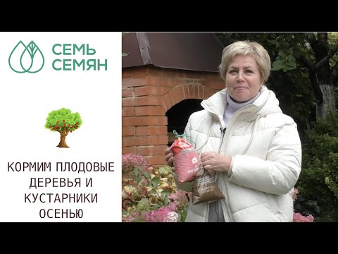 ПРАВИЛА ПОДКОРМКИ ПЛОДОВЫХ ДЕРЕВЬЕВ И КУСТАРНИКОВ