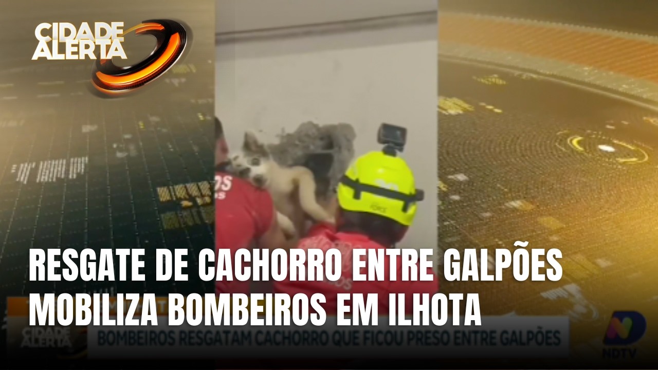 Bombeiros resgatam cachorro preso entre paredes de galpões em Ilhota