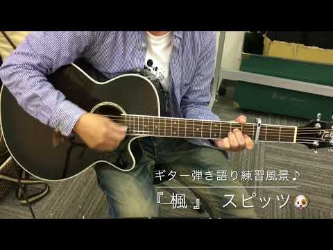 『 楓 』 スピッツ🐶 ギター弾き語り練習風景✨