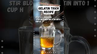 Gelatin Trick Recipe – Just 3 Ingredients, 4 Easy Steps Net Worth