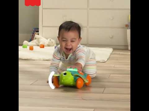 Sea Turtle - Smyths Toys 