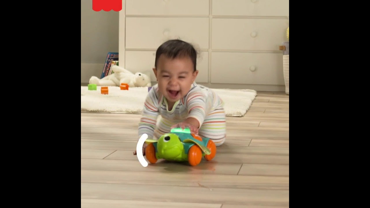 Sea Turtle - Smyths Toys 