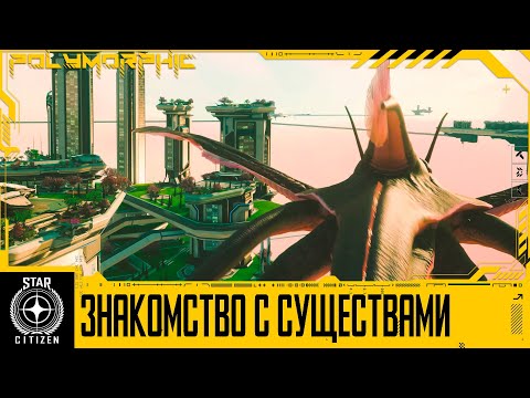 Видео: 🚀STAR CITIZEN: Знакомство с Существами 🐷