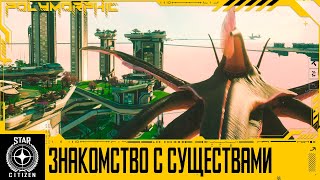 🚀STAR CITIZEN: Знакомство с Существами 🐷