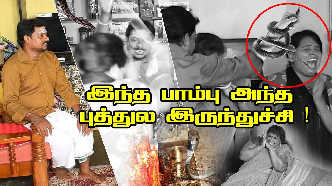 பாம்பு புத்துக்குள்ள கை விட்டீங்களா?...#raviraj #radha #prank #funnyvideo #comedyvideo #prankraviraj