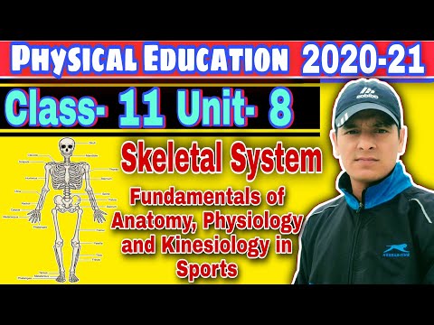Fundamentals of Anatomy, Physiology, and Kinesiology in Sports, Physical Education Class 11 Unit 8