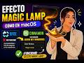 Efecto “Magic Lamp” en Linux! 🪄🐧