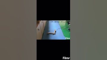 damage recovery on snake-like robot