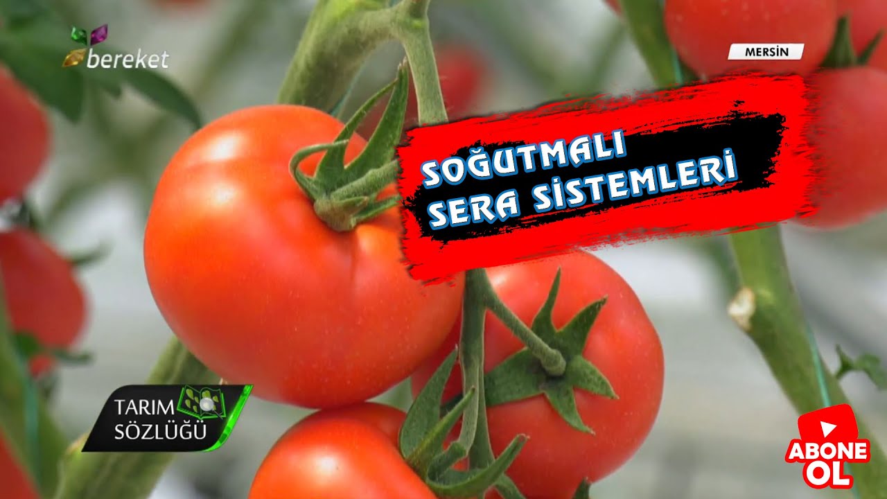 Tarım Sözlüğü - Soğutmalı Sera Sistemleri