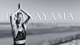 Box Breathing Made Easy | 5-Minute Breathwork for Beginners | Sama Vritti Pranayama