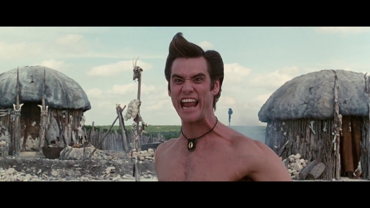 Chinchilla sounds (What Do They Mean?)