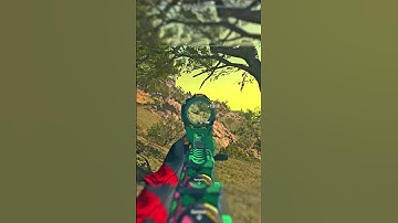 The Kastov 762 INTO The CW AK-47😎 (Setup at the End)