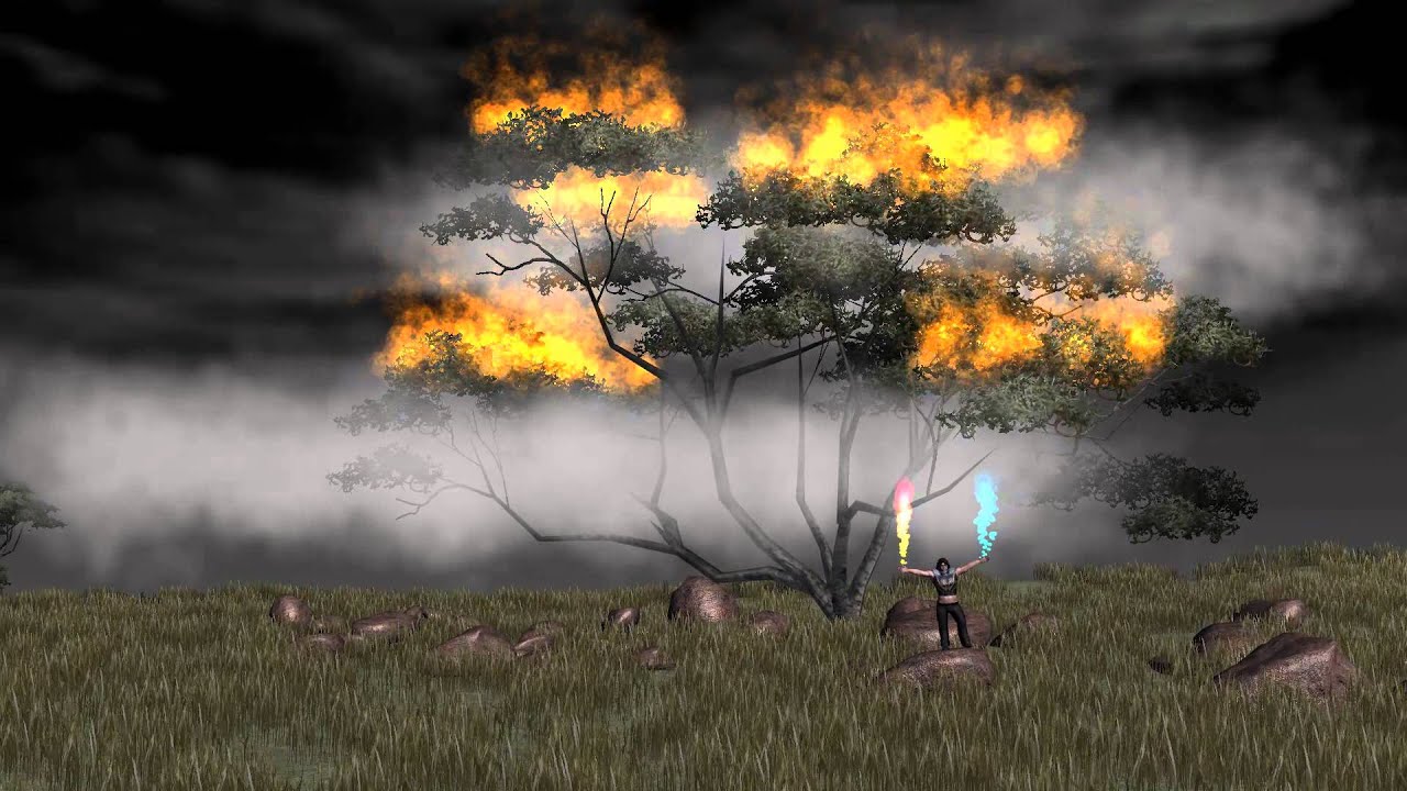 iclone 5   animation