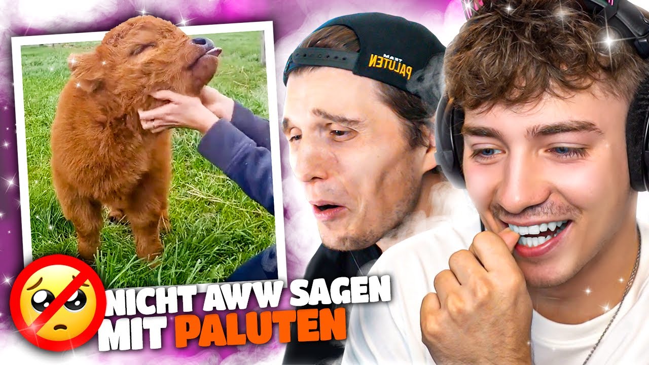Die SÜßESTEN TIERE der WELT! | (nicht aww sagen mit Paluten!)