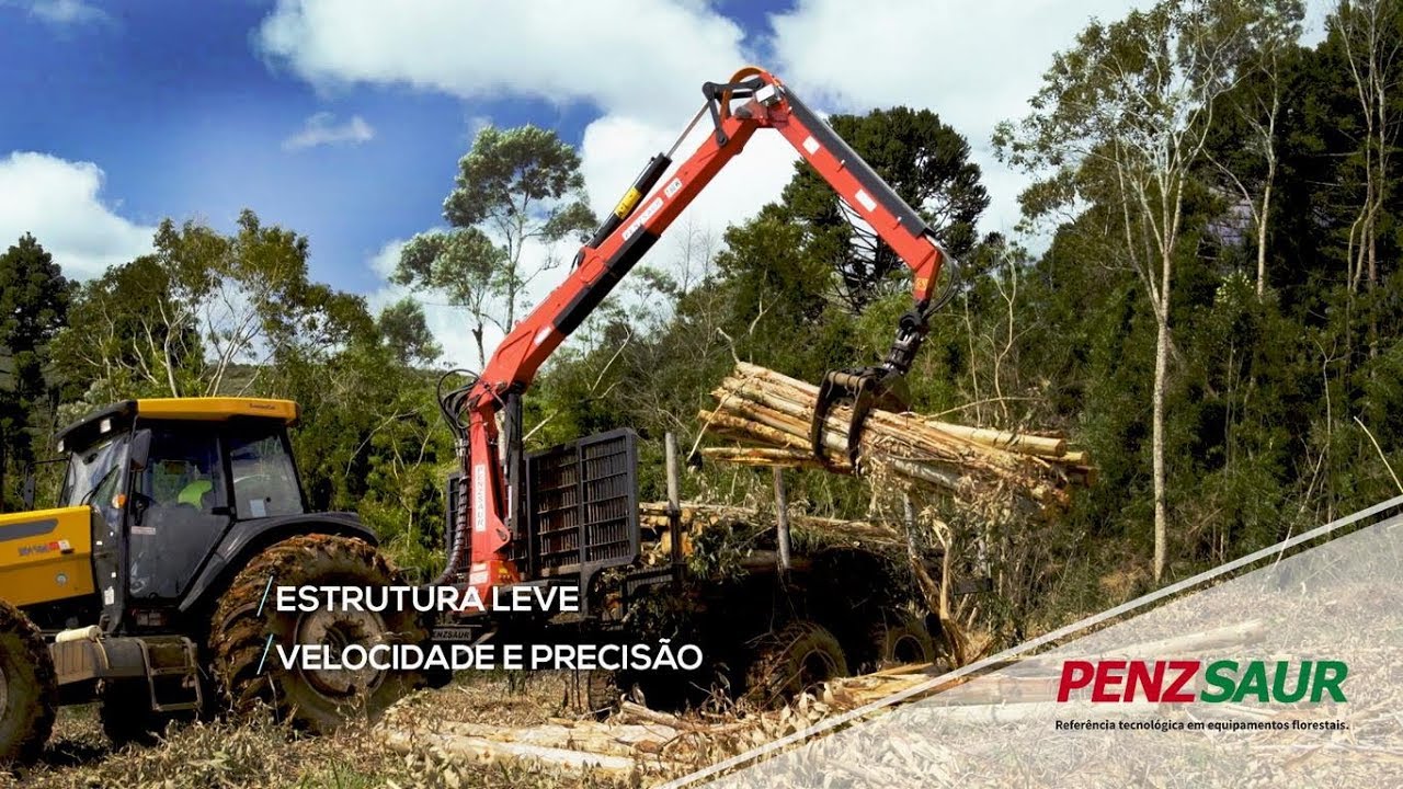 PENZSAUR - Institucional Corporativo