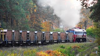 M62K-1181 with maintenance train / Тепловоз М62К-1181 с хозяйственным поездом