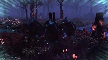 Exalted Custodians Release Video